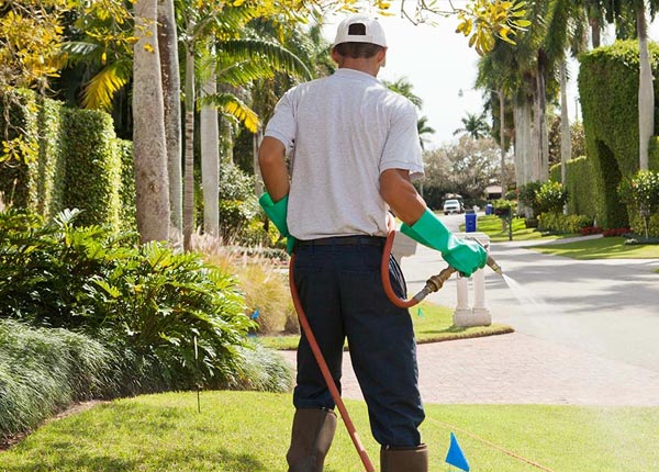 About Loysville PA Pest Control